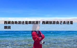 西藏自助游还是跟团游？西藏旅游自己去还是跟团