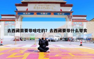 去西藏需要带啥吃的？去西藏要带什么零食