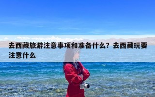 去西藏旅游注意事项和准备什么？去西藏玩要注意什么