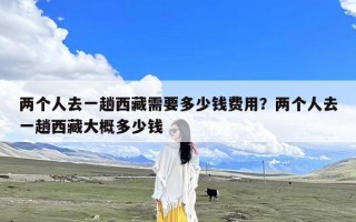 两个人去一趟西藏需要多少钱费用？两个人去一趟西藏大概多少钱