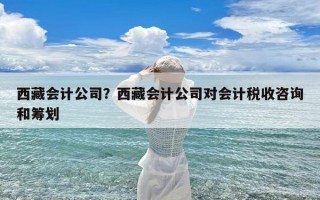 西藏会计公司？西藏会计公司对会计税收咨询和筹划