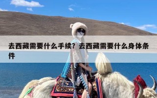 去西藏需要什么手续？去西藏需要什么身体条件