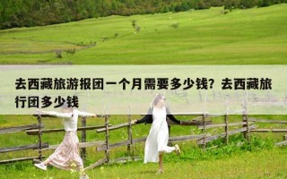 去西藏旅游报团一个月需要多少钱？去西藏旅行团多少钱