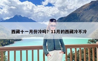 西藏十一月份冷吗？11月的西藏冷不冷