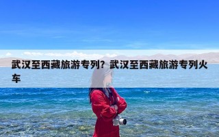 武汉至西藏旅游专列？武汉至西藏旅游专列火车