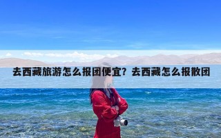 去西藏旅游怎么报团便宜？去西藏怎么报散团