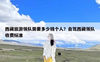 西藏旅游领队需要多少钱个人？自驾西藏领队收费标准