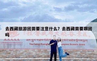 去西藏旅游团需要注意什么？去西藏需要跟团吗