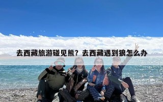 去西藏旅游碰见熊？去西藏遇到狼怎么办