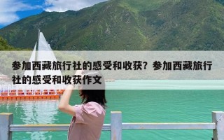 参加西藏旅行社的感受和收获？参加西藏旅行社的感受和收获作文