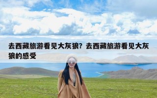 去西藏旅游看见大灰狼？去西藏旅游看见大灰狼的感受