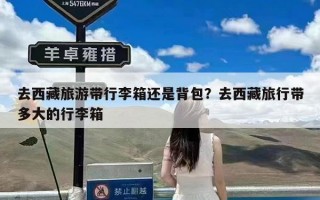 去西藏旅游带行李箱还是背包？去西藏旅行带多大的行李箱