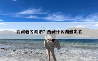 西藏著名湖泊？西藏什么湖最出名