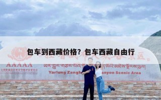 包车到西藏价格？包车西藏自由行