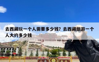去西藏玩一个人需要多少钱？去西藏旅游一个人大约多少钱