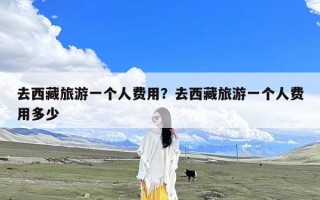 去西藏旅游一个人费用？去西藏旅游一个人费用多少