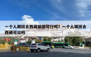 一个人跟团去西藏旅游可行吗？一个人跟团去西藏可以吗