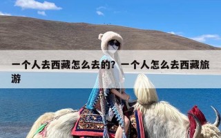 一个人去西藏怎么去的？一个人怎么去西藏旅游