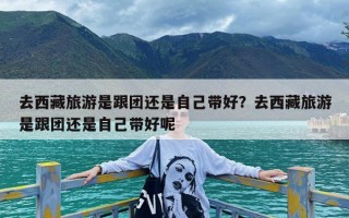 去西藏旅游是跟团还是自己带好？去西藏旅游是跟团还是自己带好呢