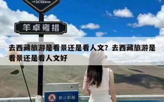 去西藏旅游是看景还是看人文？去西藏旅游是看景还是看人文好