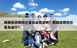 西藏旅游跟团还是自由旅游呢？西藏游跟团还是自由行?