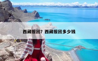 西藏报团？西藏报团多少钱