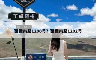 西藏南路1200号？西藏南路1202号