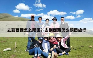 去到西藏怎么跟团？去到西藏怎么跟团旅行
