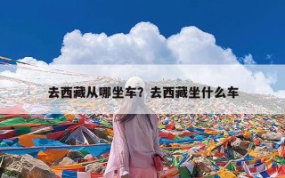 去西藏从哪坐车？去西藏坐什么车