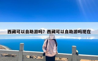 西藏可以自助游吗？西藏可以自助游吗现在