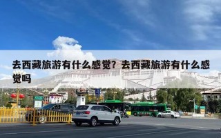去西藏旅游有什么感觉？去西藏旅游有什么感觉吗