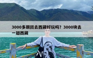 3000多跟团去西藏好玩吗？3000块去一趟西藏