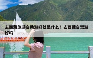 去西藏旅游自助游好处是什么？去西藏自驾游好吗