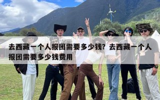 去西藏一个人报团需要多少钱？去西藏一个人报团需要多少钱费用
