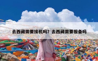 去西藏需要接机吗？去西藏需要报备吗