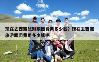 现在去西藏旅游跟团费用多少钱？现在去西藏旅游跟团费用多少钱啊