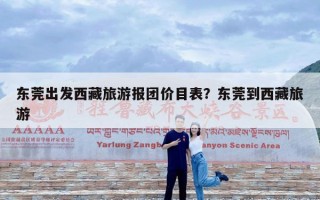 东莞出发西藏旅游报团价目表？东莞到西藏旅游