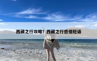 西藏之行攻略？西藏之行感悟短语