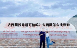 去西藏找导游可信吗？去西藏怎么找导游