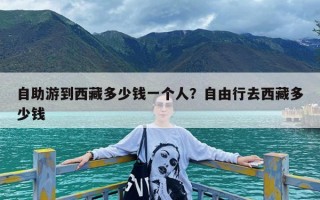 自助游到西藏多少钱一个人？自由行去西藏多少钱
