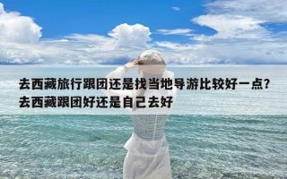 去西藏旅行跟团还是找当地导游比较好一点？去西藏跟团好还是自己去好