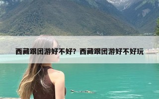 西藏跟团游好不好？西藏跟团游好不好玩