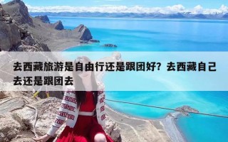 去西藏旅游是自由行还是跟团好？去西藏自己去还是跟团去