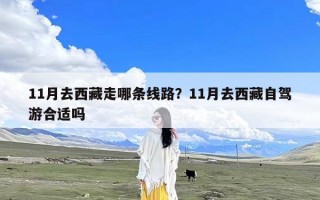 11月去西藏走哪条线路？11月去西藏自驾游合适吗
