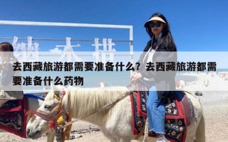 去西藏旅游都需要准备什么？去西藏旅游都需要准备什么药物