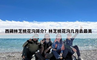 西藏林芝桃花沟简介？林芝桃花沟几月去最美