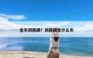 坐车到西藏？到西藏坐什么车