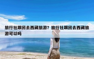 旅行社跟团去西藏旅游？旅行社跟团去西藏旅游可以吗
