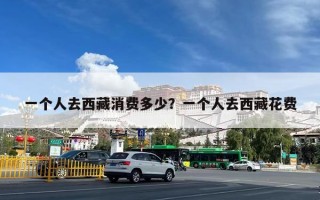 一个人去西藏消费多少？一个人去西藏花费