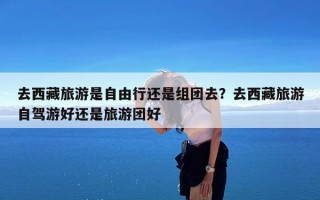 去西藏旅游是自由行还是组团去？去西藏旅游自驾游好还是旅游团好